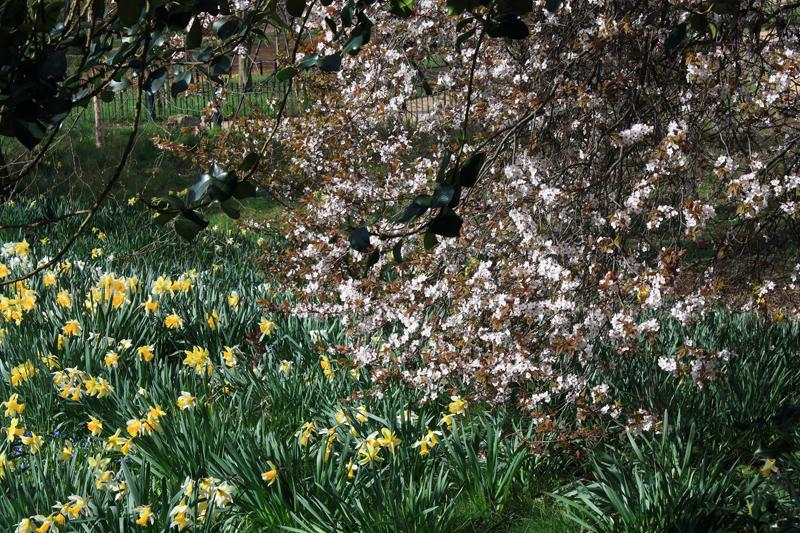 124-Hyde Park,6 aprile 2010.JPG